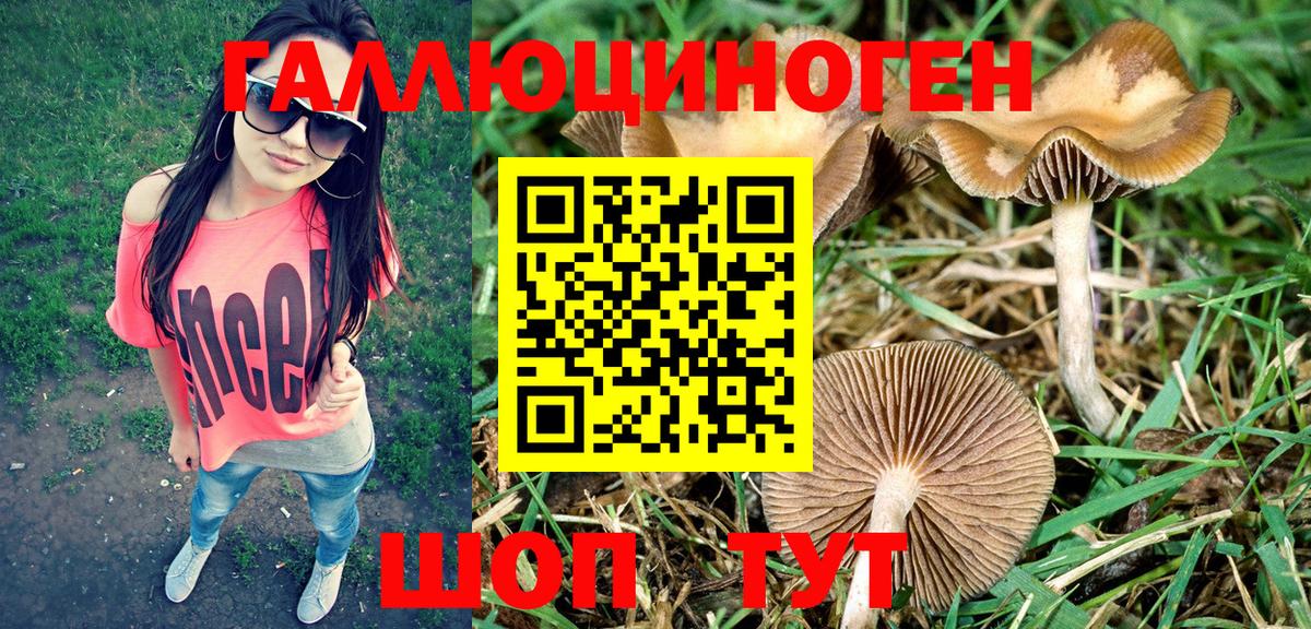 Галлюциногенные грибы Cubensis Елизово