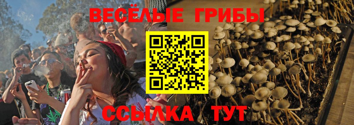 Елизово  Галлюциногенные грибы Psilocybine cubensis  Вход с VPN  Галлюциногенные грибы мицелий 