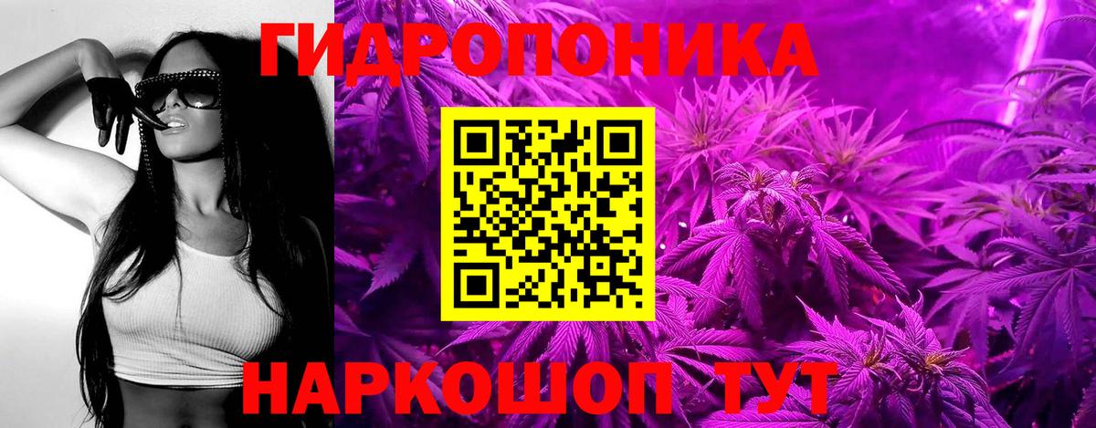 Конопля сатива  Бошки марихуана Amnesia  Елизово  Канабис AK-47  Вход с VPN  Шишки марихуана THC 21% 